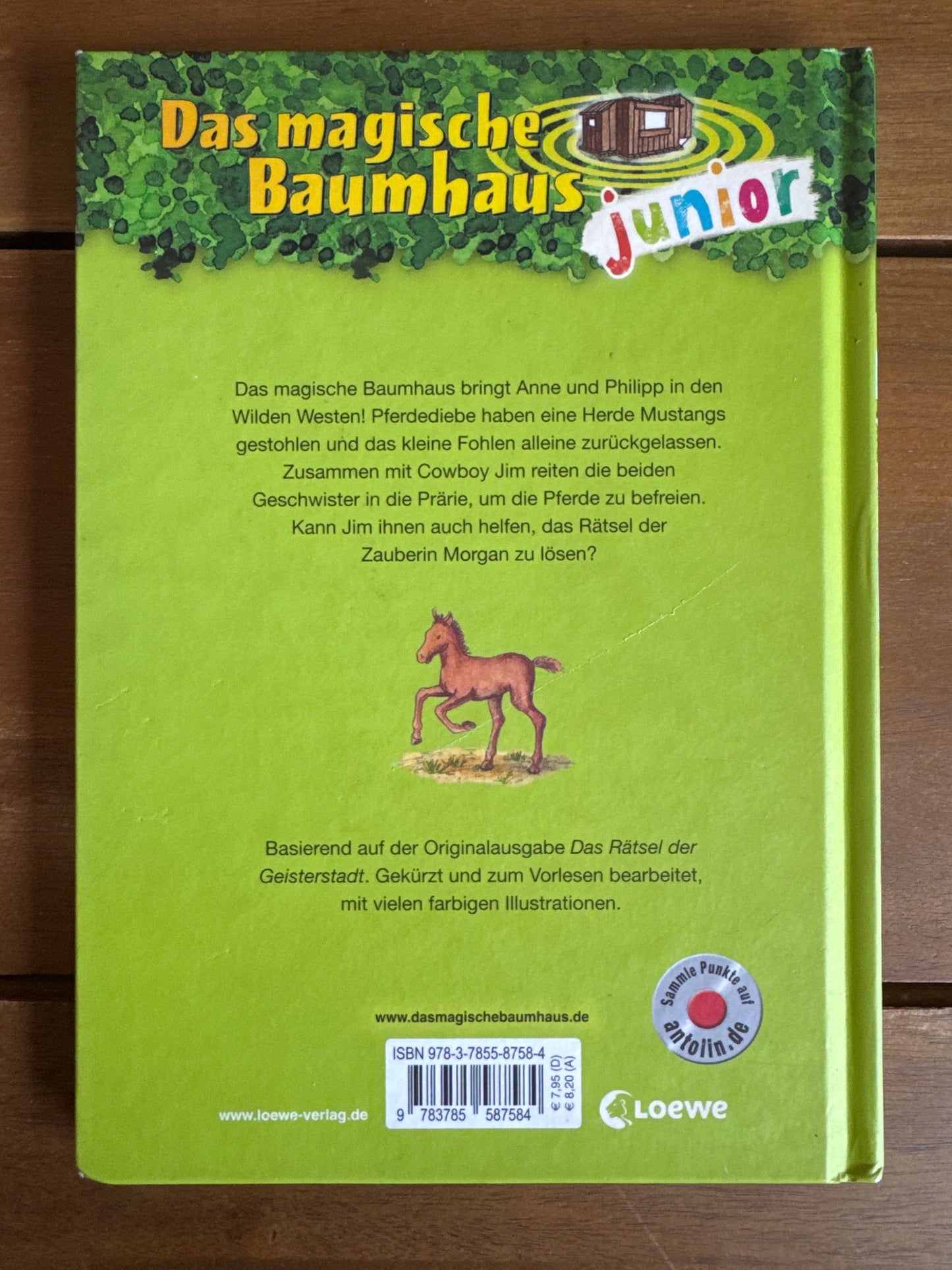 Das magische Baumhaus Junior - Ritt durch den Wilden Westen