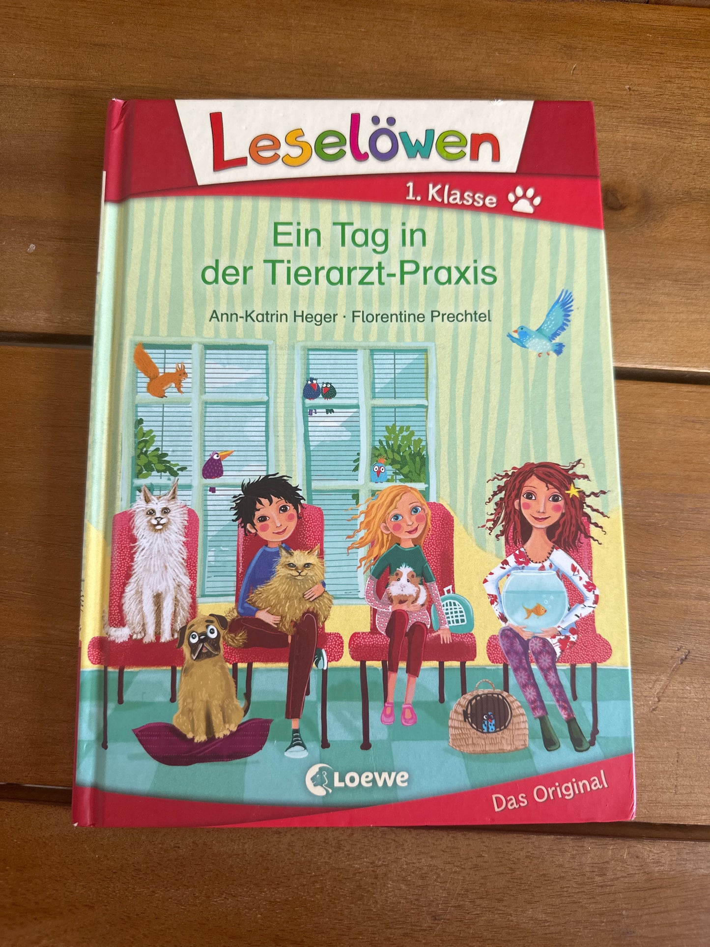 Ein Tag in der Tierarzt-Praxis