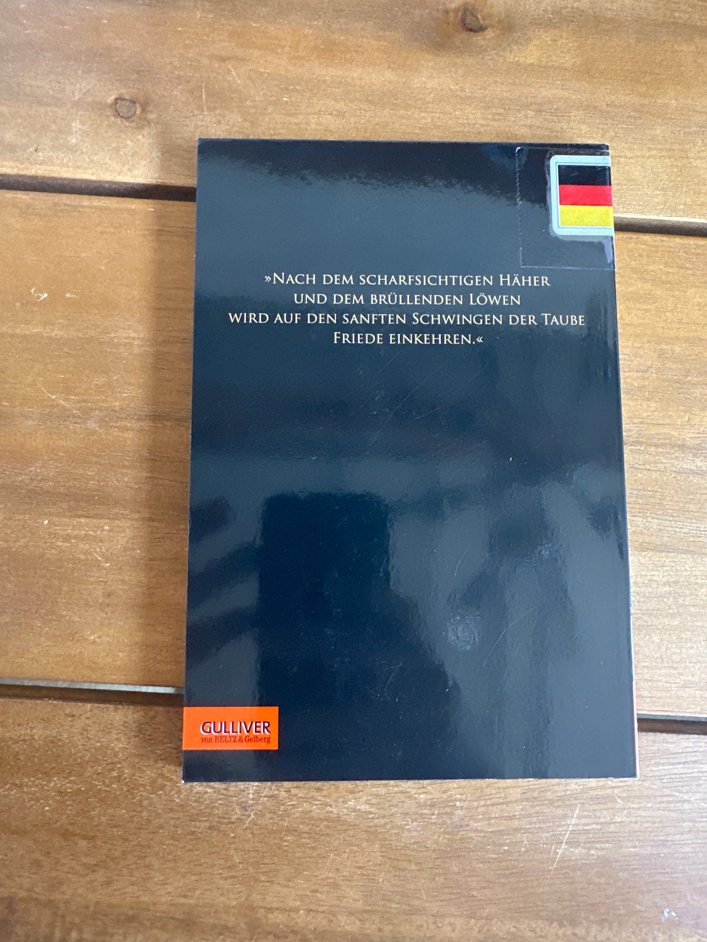 Warrior Cats - Mein ClanGefährtenBuch