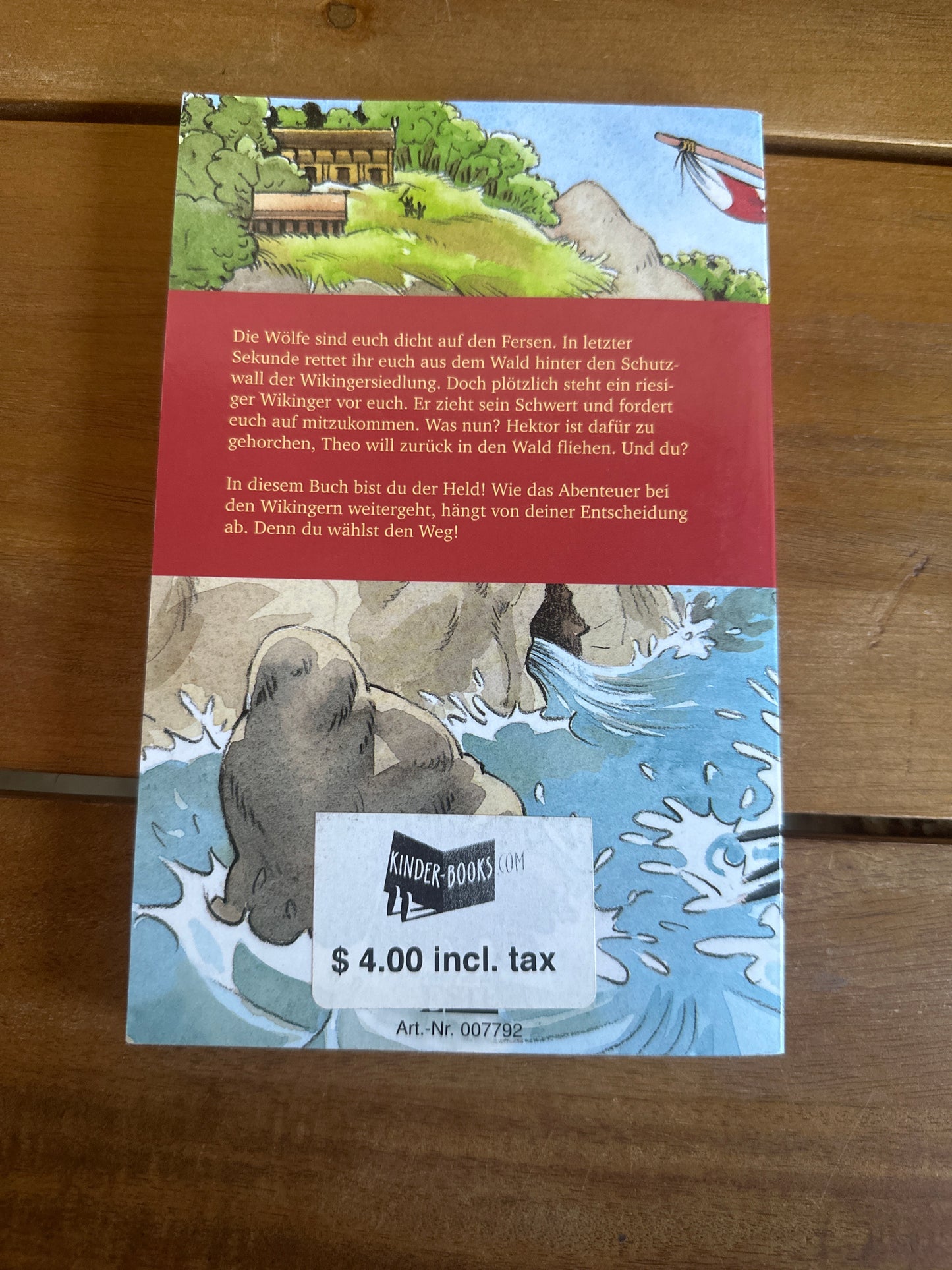 Verschollen im Land der Wikinger