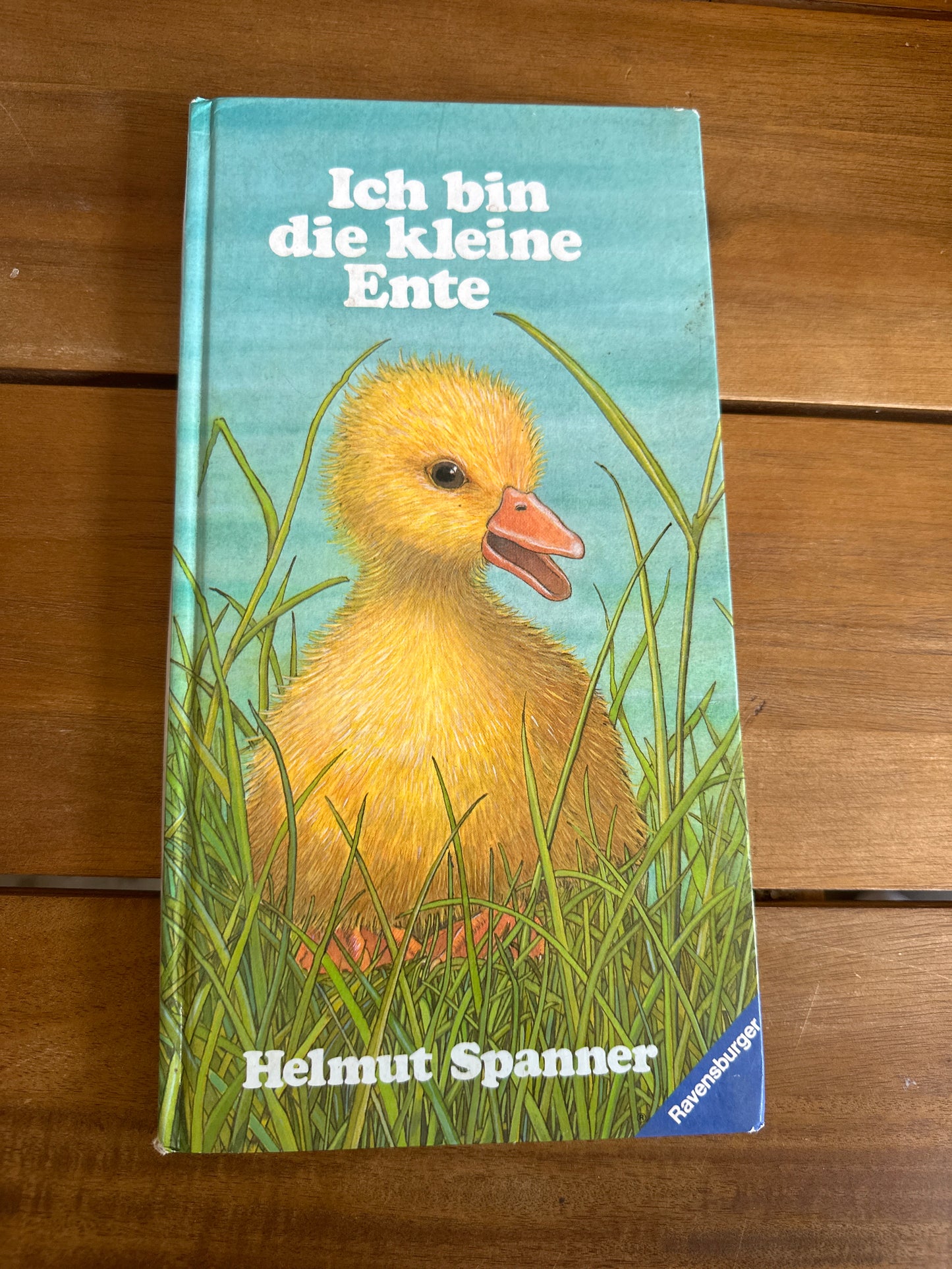 Ich bin die kleine Ente