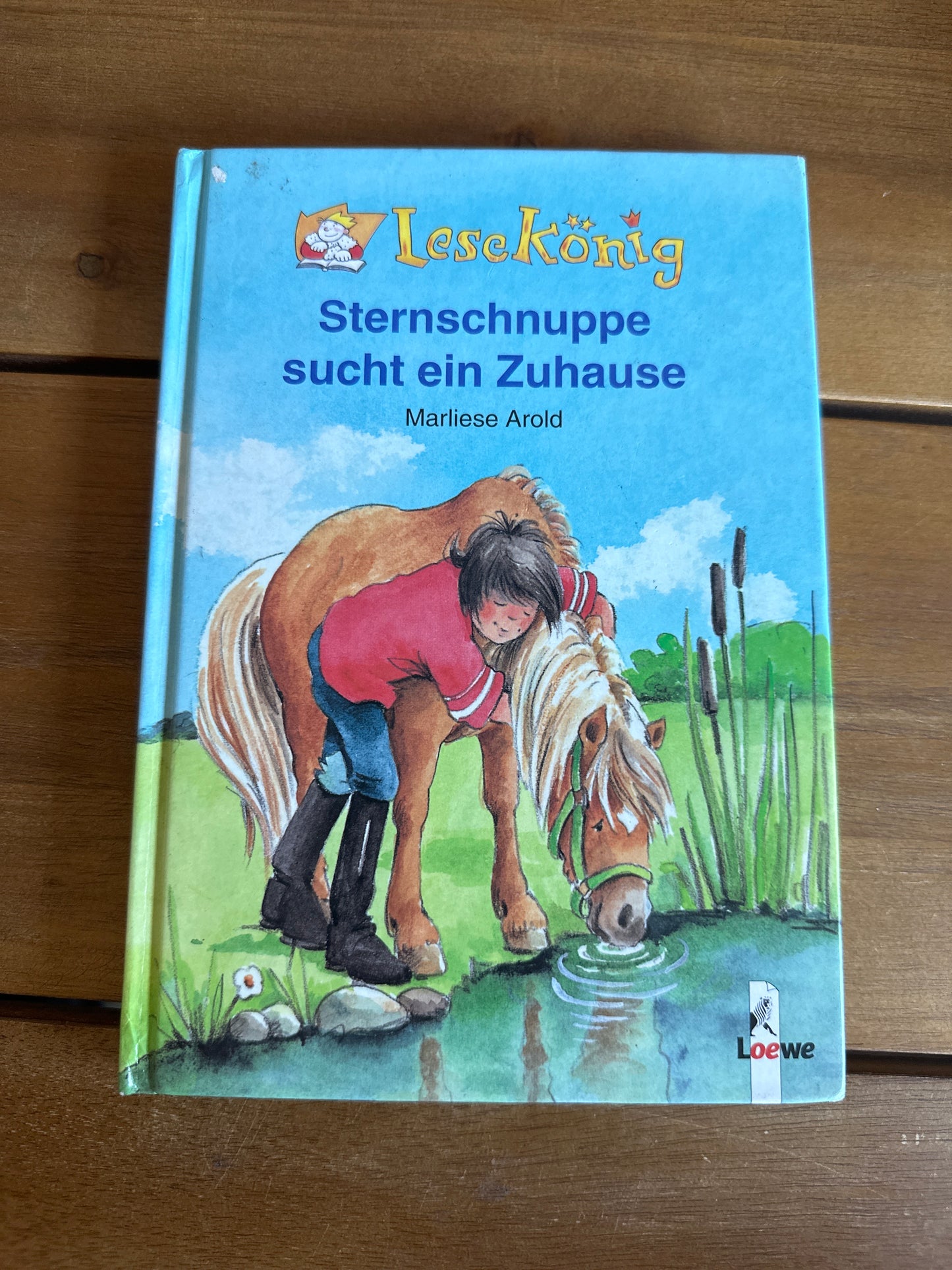 Sternschnuppe sucht ein Zuhause