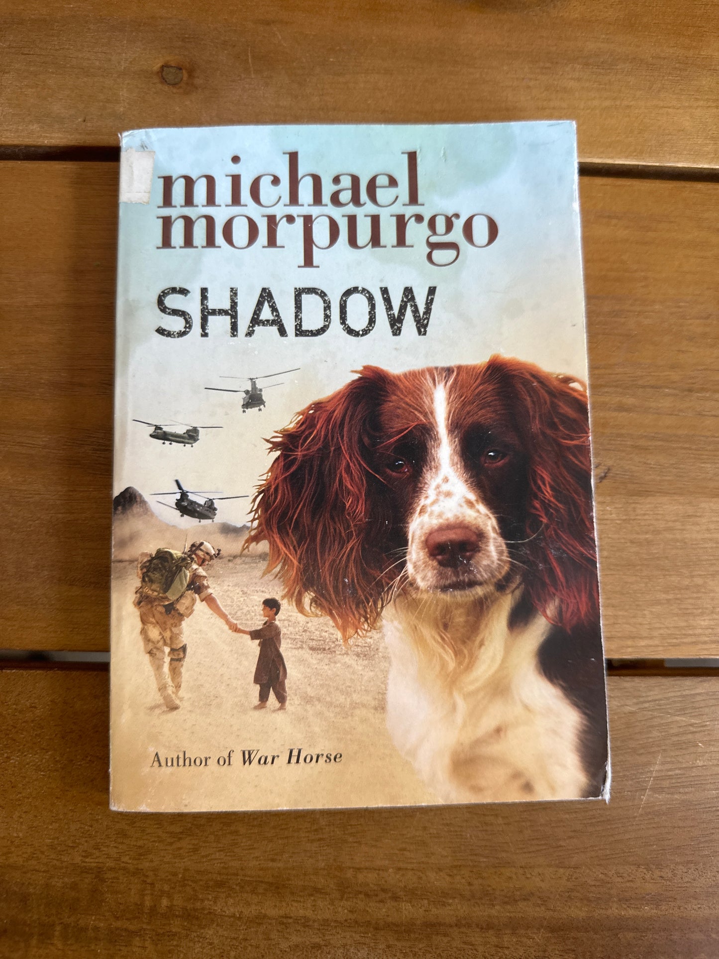 Shadow