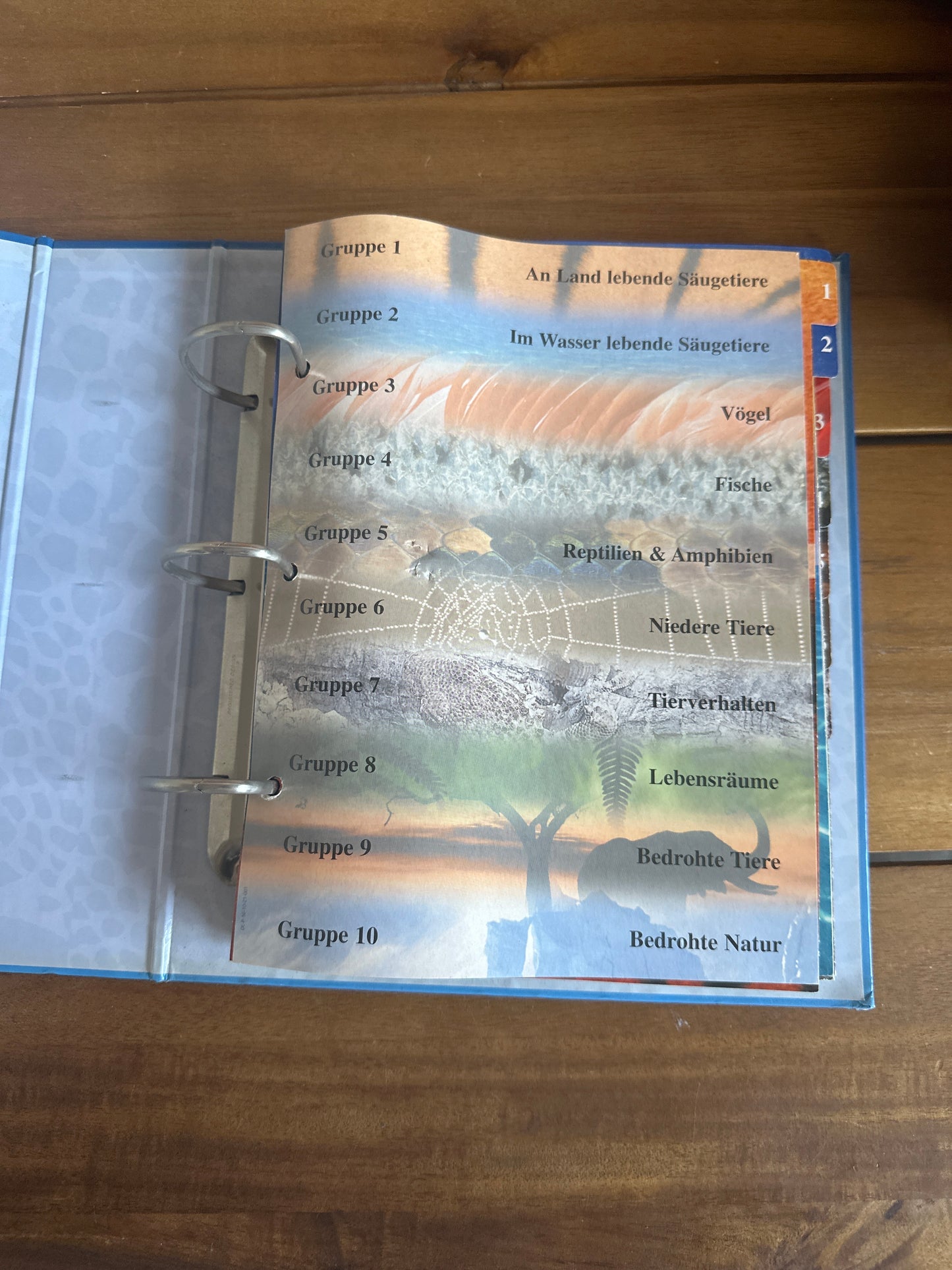 Das Wunderbare Reich der Tiere