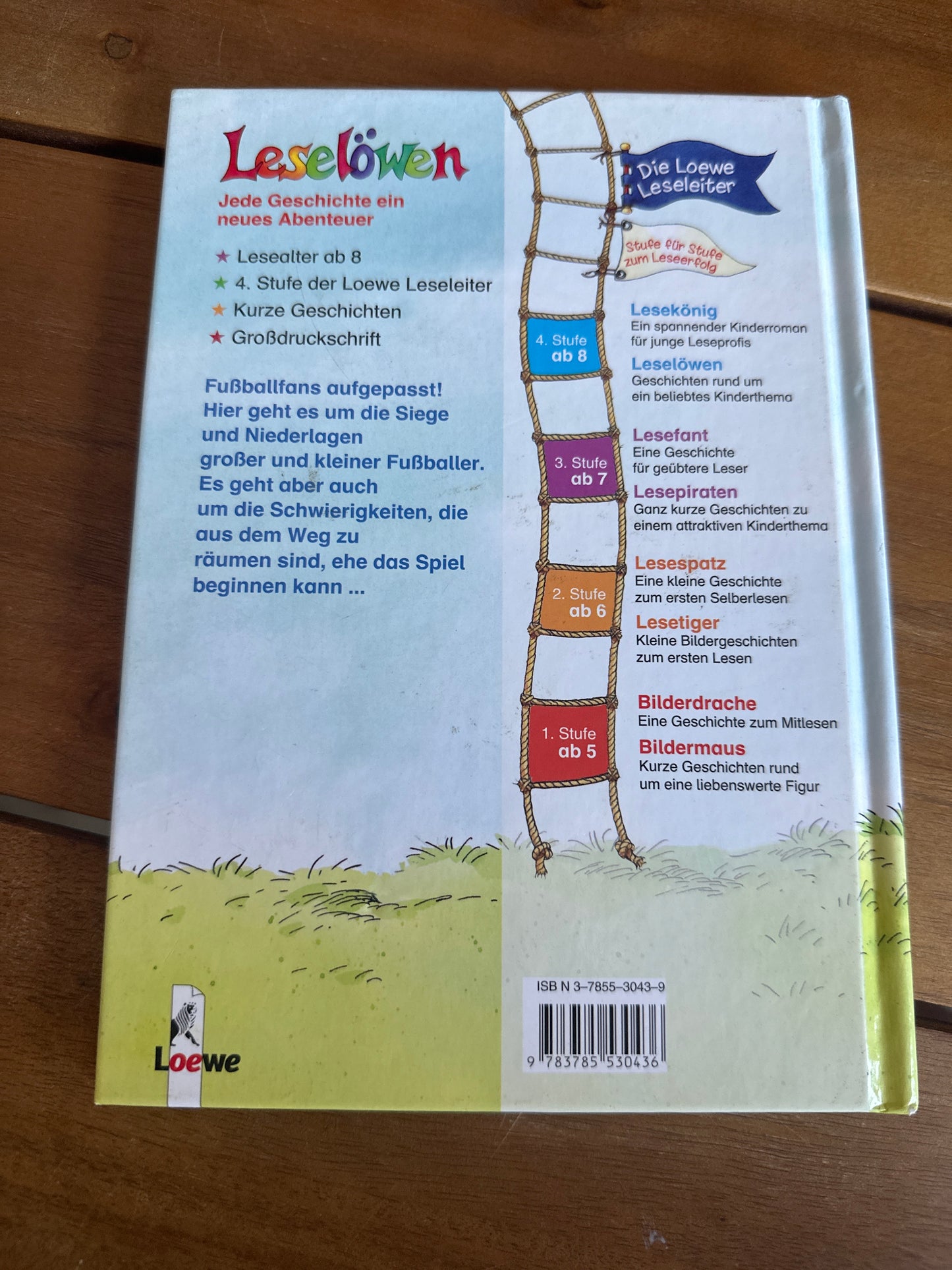 Leselöwen - Fußballgeschichten