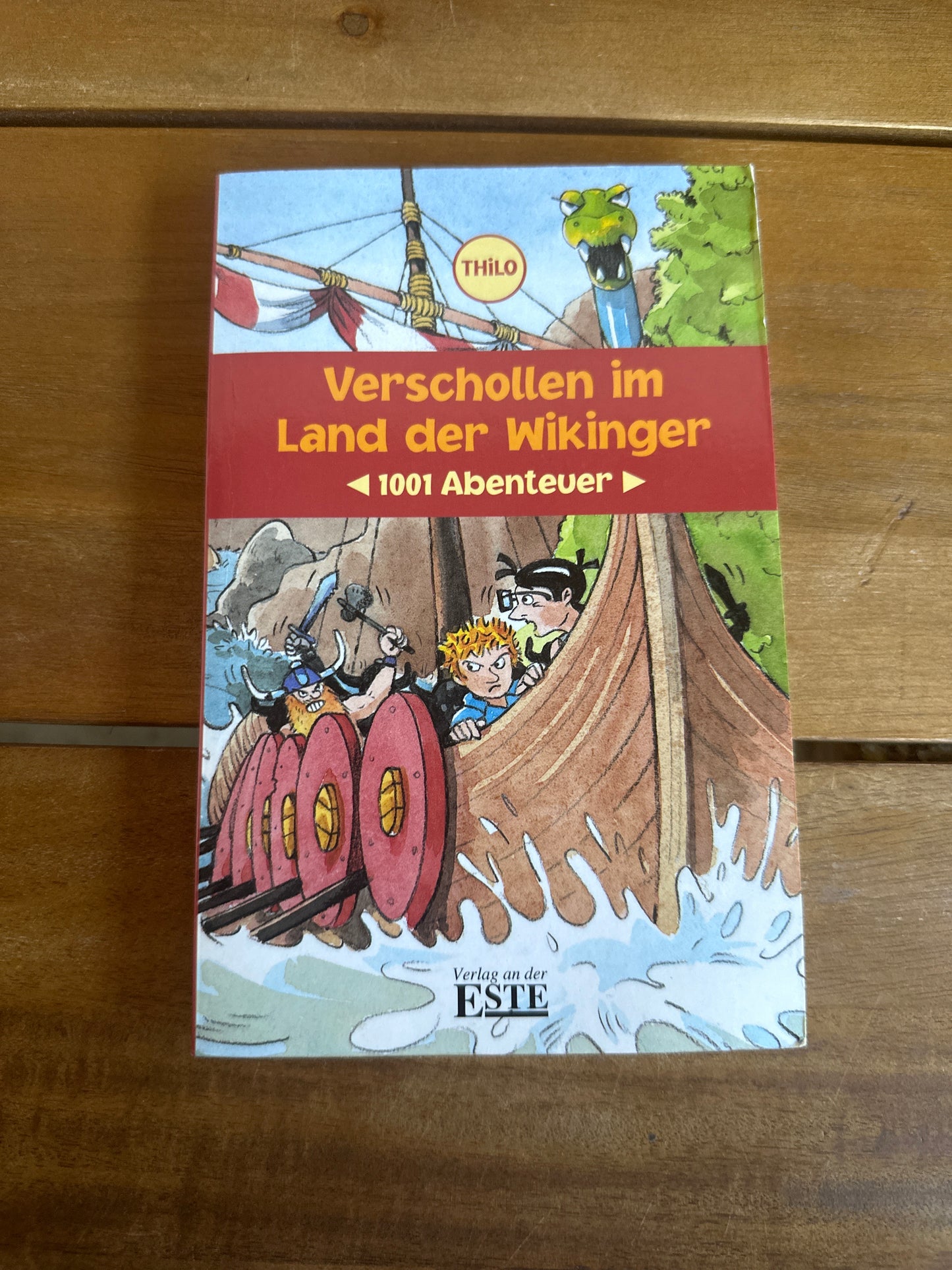 Verschollen im Land der Wikinger
