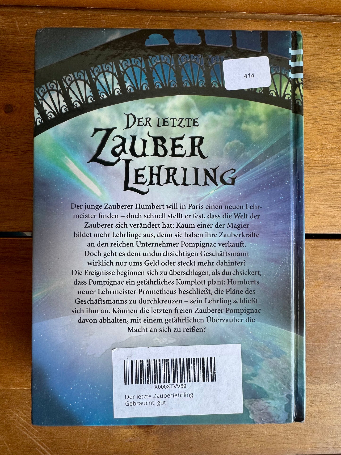 Der letzte Zauberlehrling