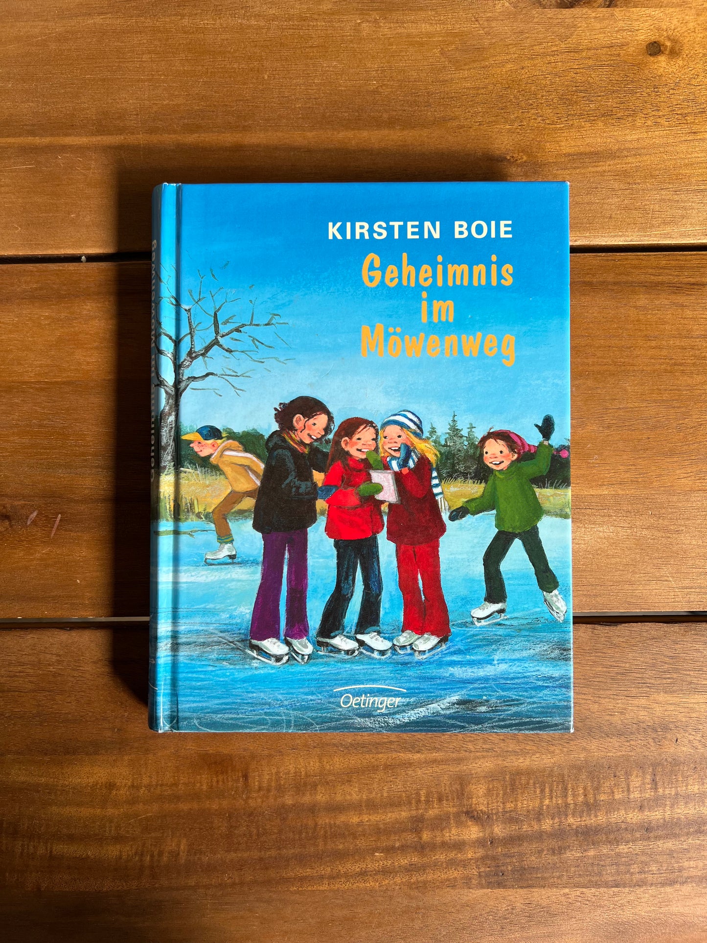 Geheimnis im Möwenweg