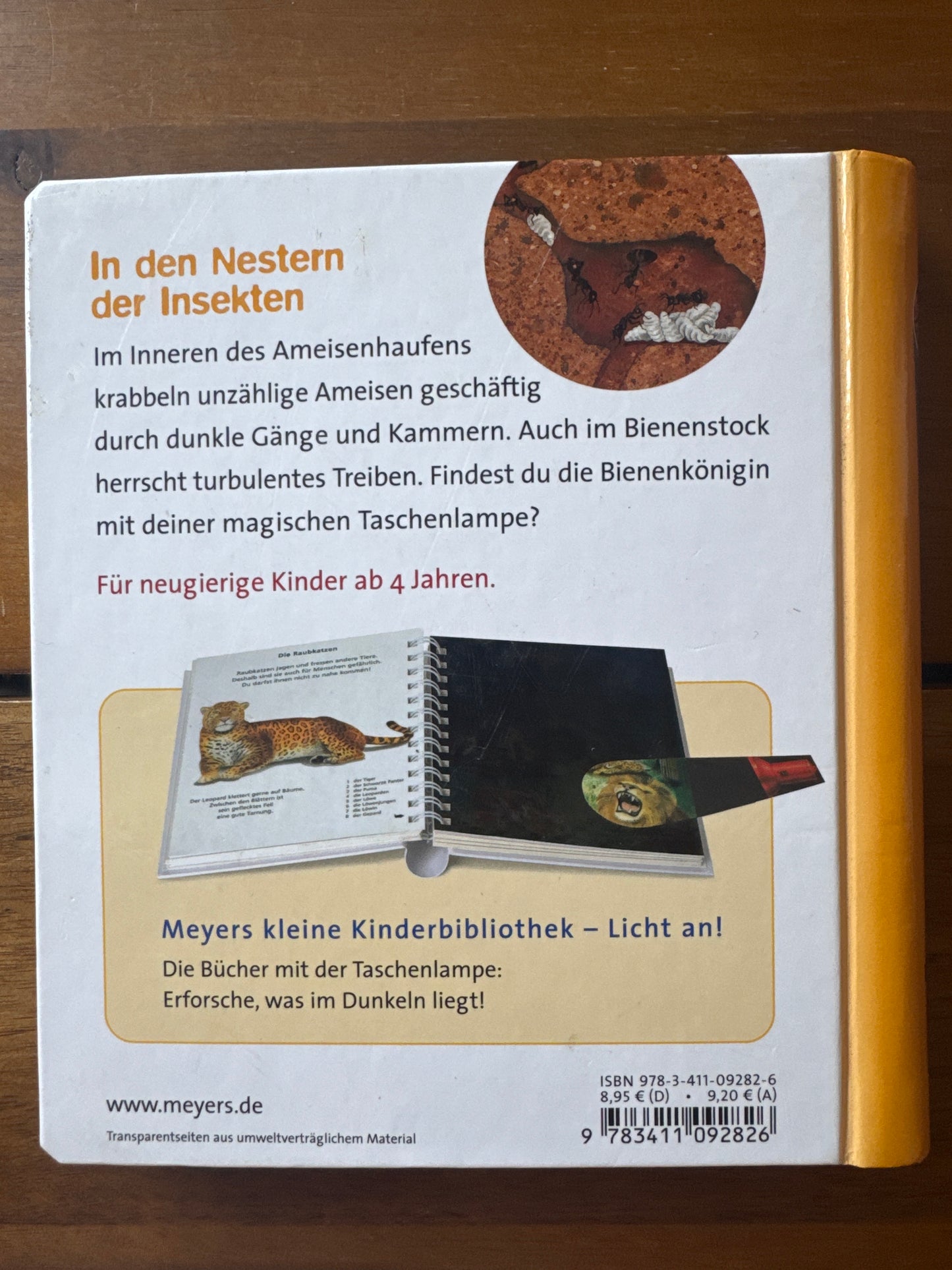 Licht an! - In den Nestern der Insekten