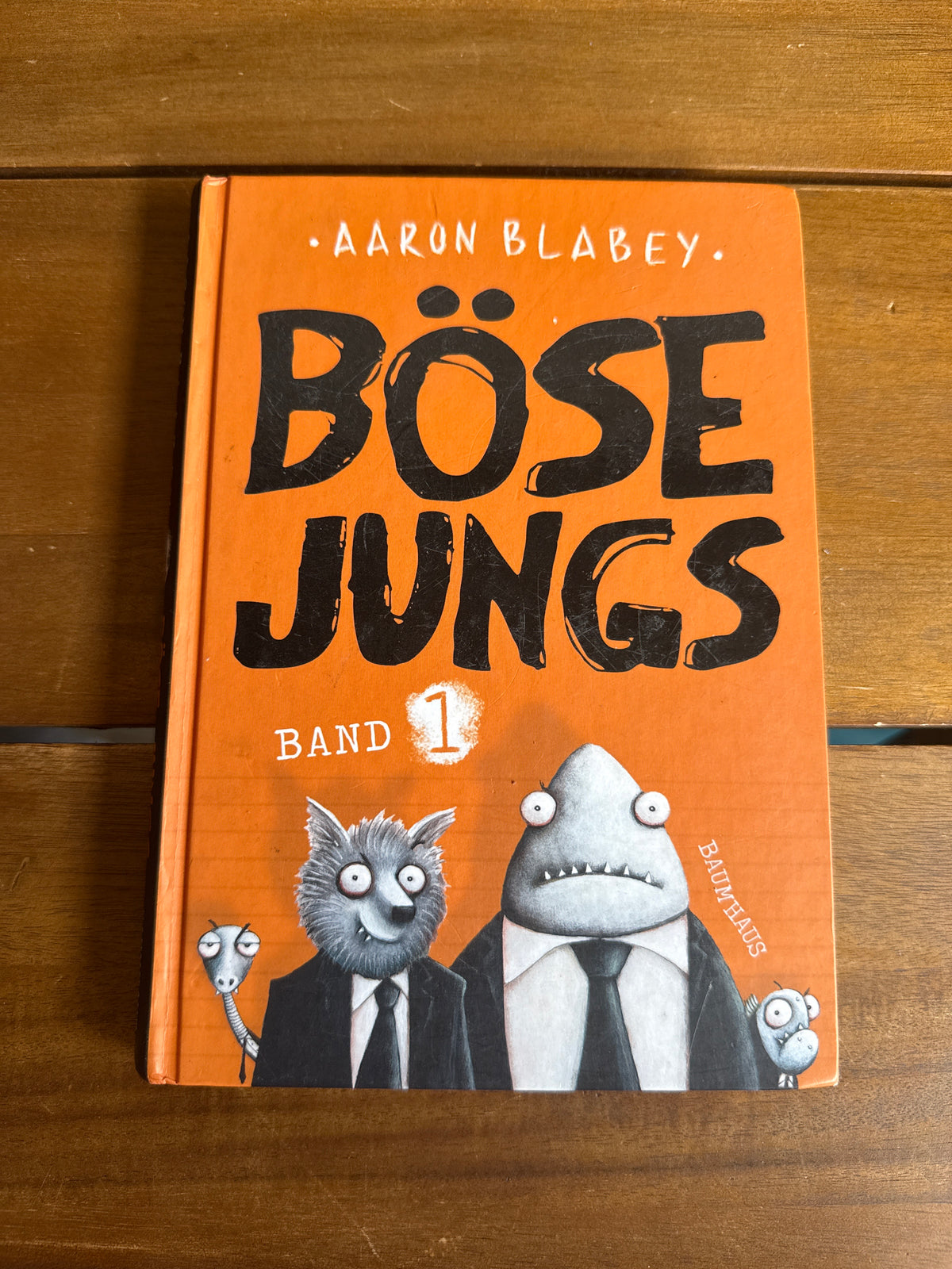 Böse Jungs Band 1