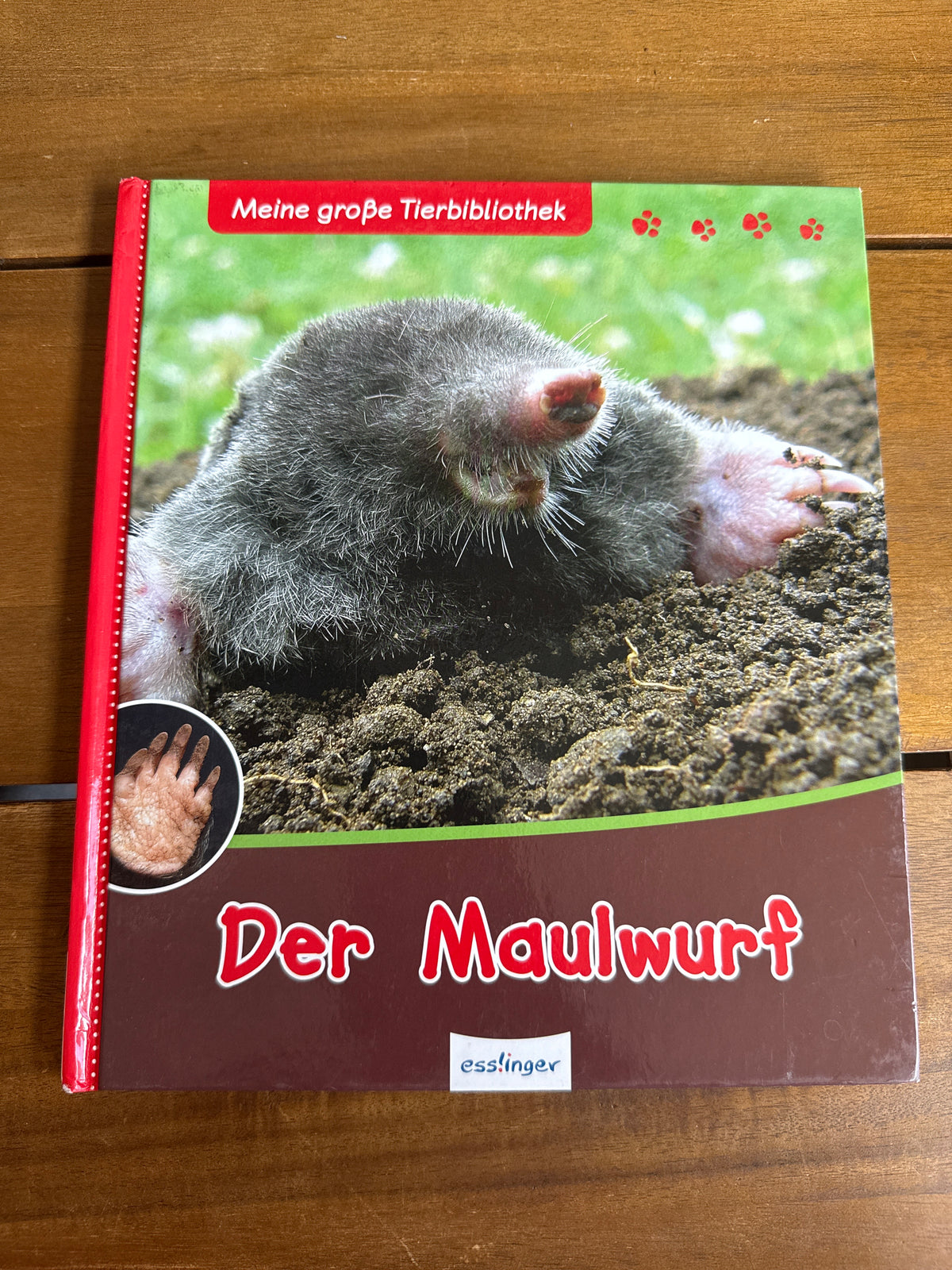 Der Maulwurf