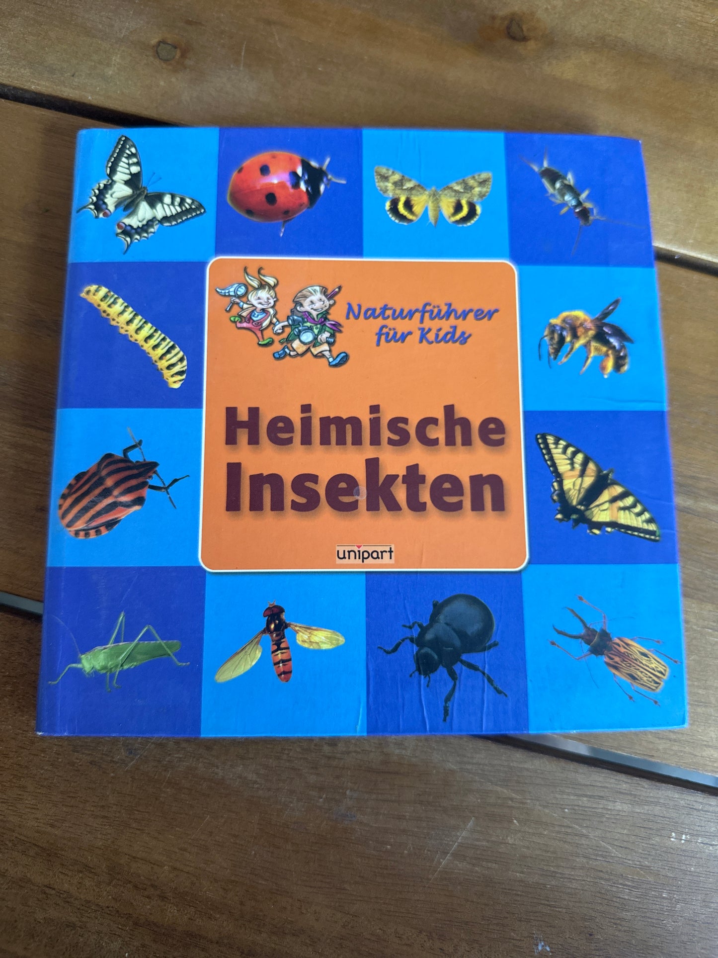 Heimische Insekten