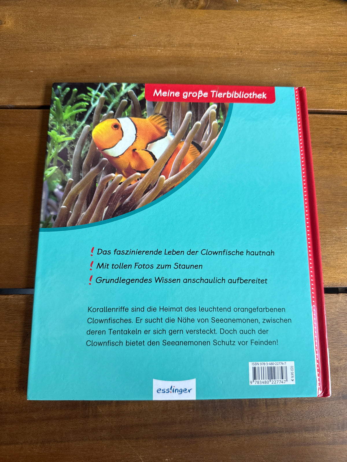 Der Clownfisch