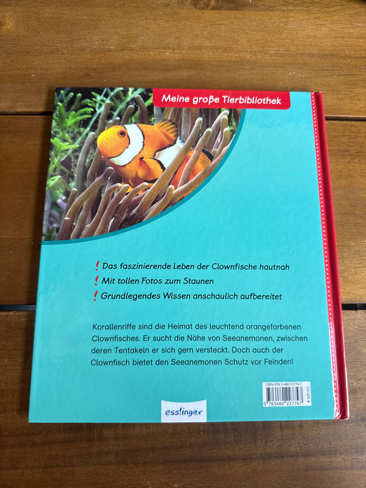 Der Clownfisch