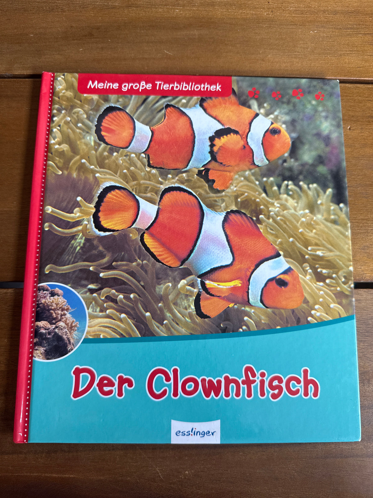 Der Clownfisch
