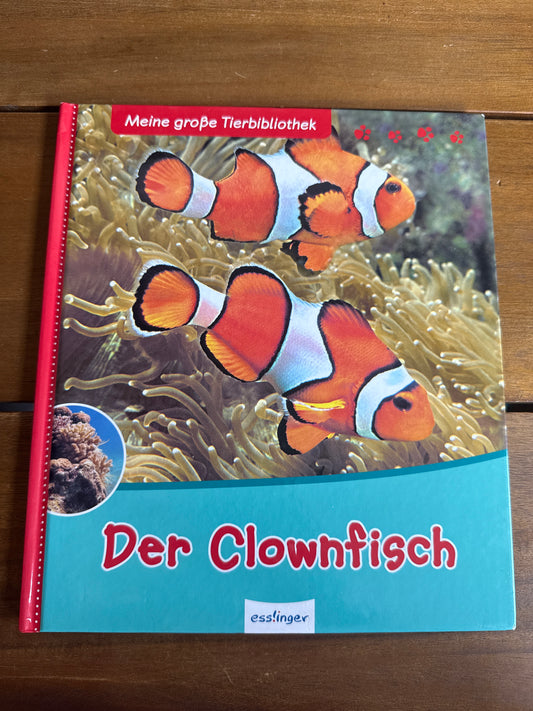 Der Clownfisch
