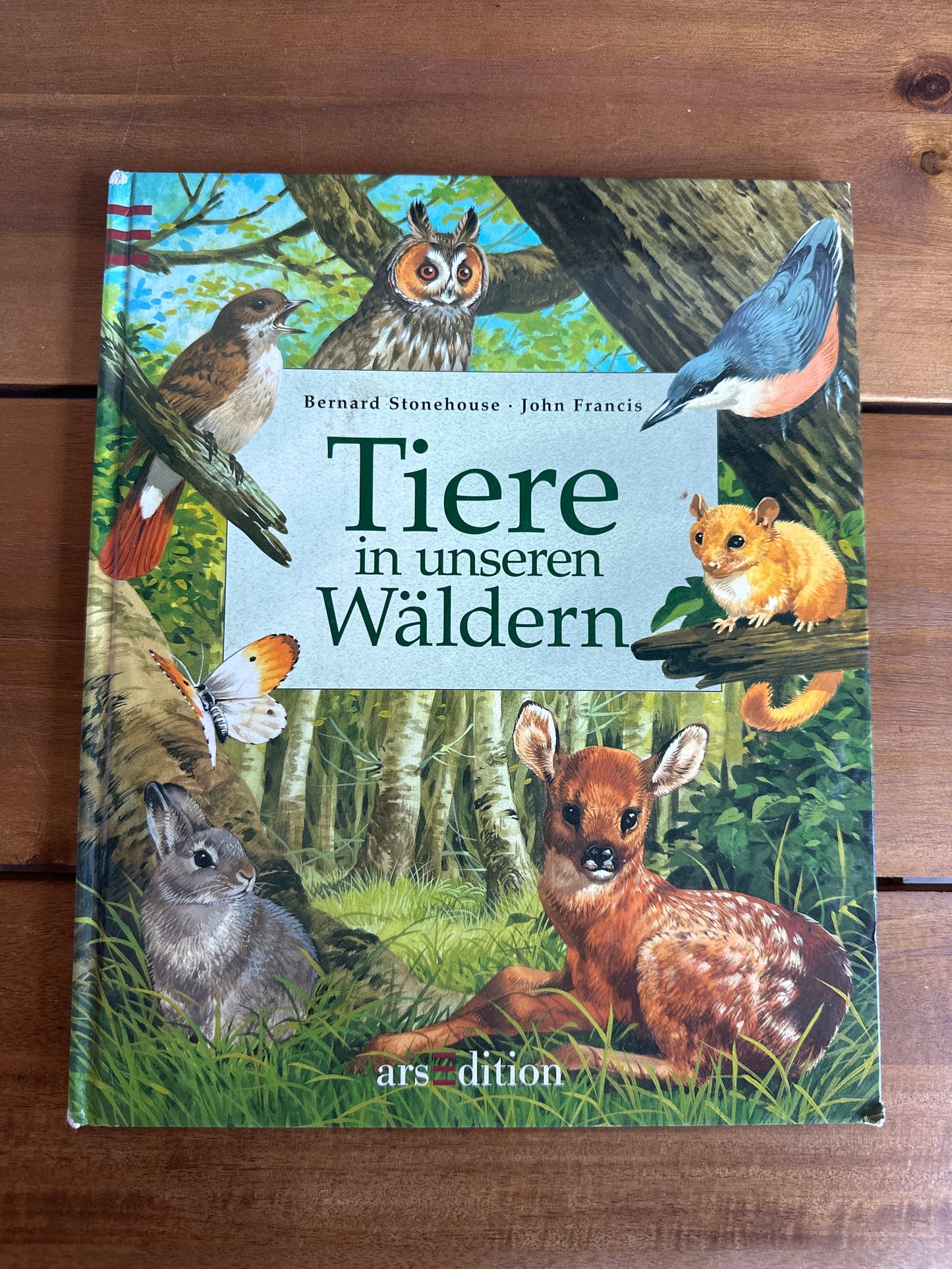 Tiere in unseren Wäldern