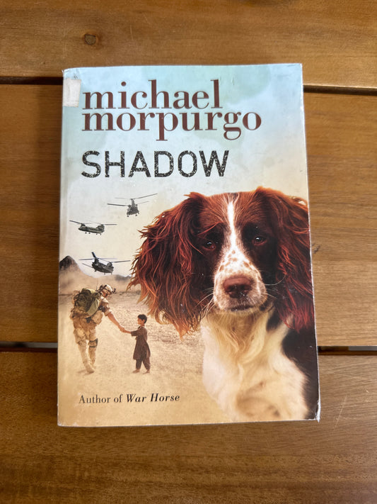Shadow