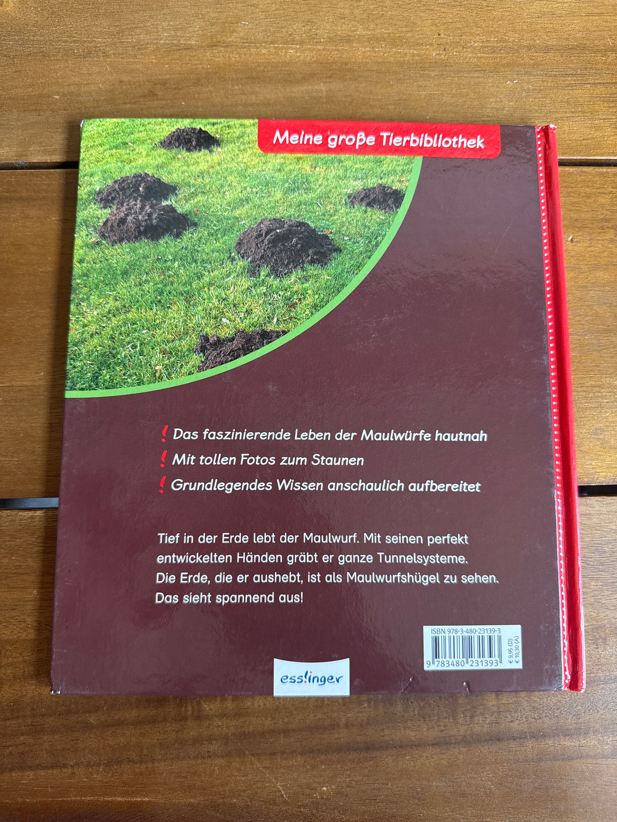 Der Maulwurf